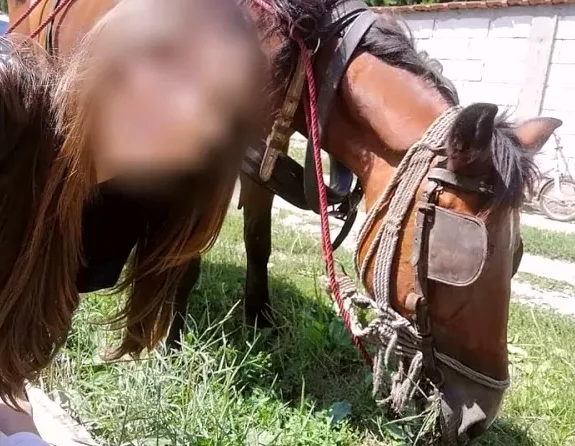 Fatima, 26